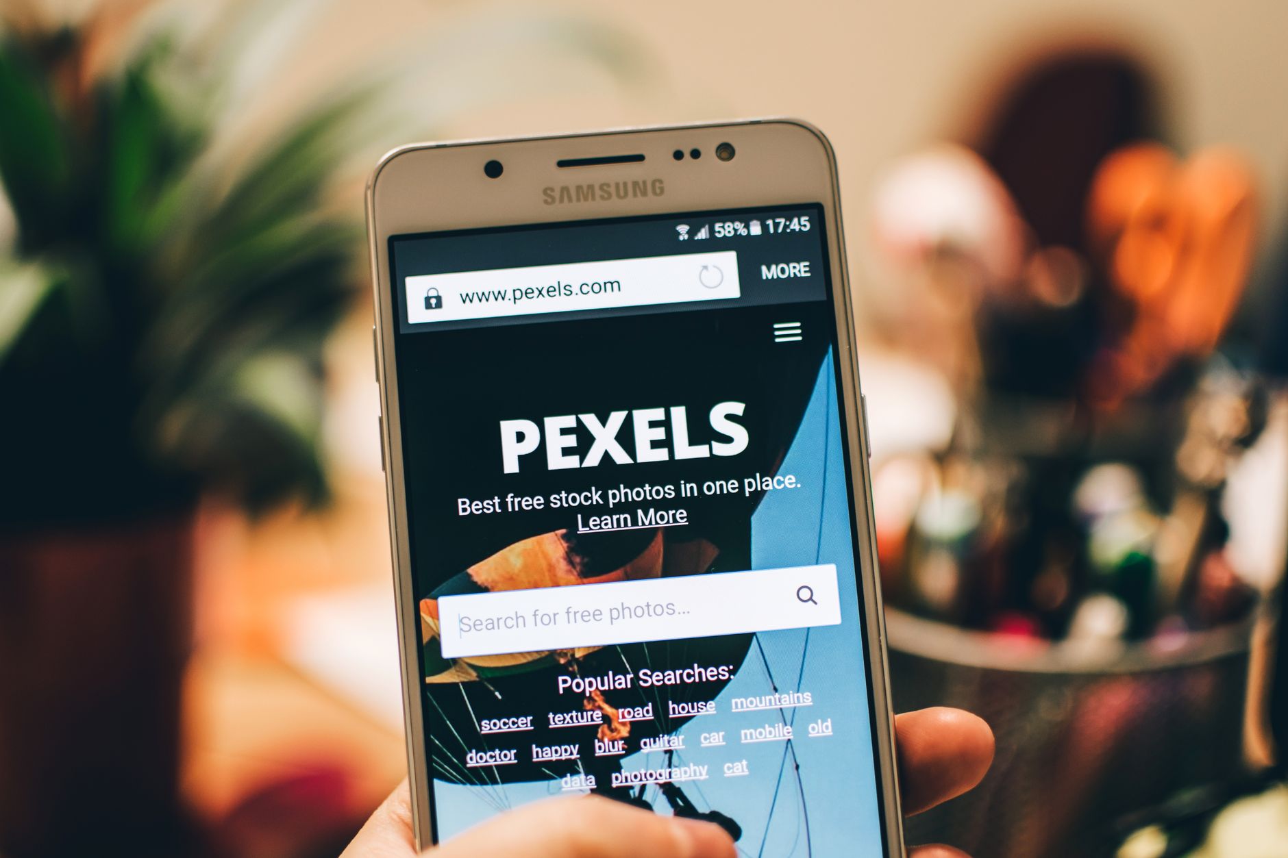 Pexels vidéo télécharger des vidéos — site de téléchargement vidéo libre